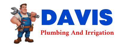 Trusted plumber in HENDRICKS